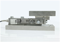 HT-CW Dynamic load weighing module