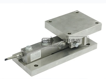 HT-CW Dynamic load weighing module